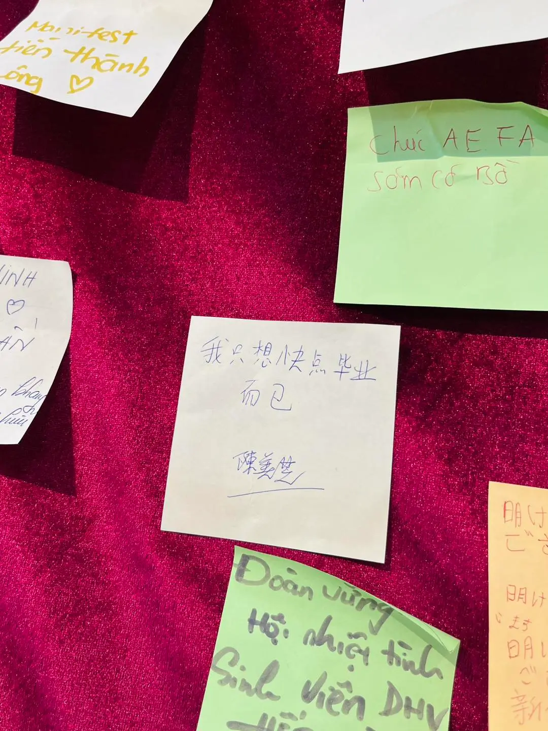 DHV - Trường Đại Học Hùng Vương TPHCM