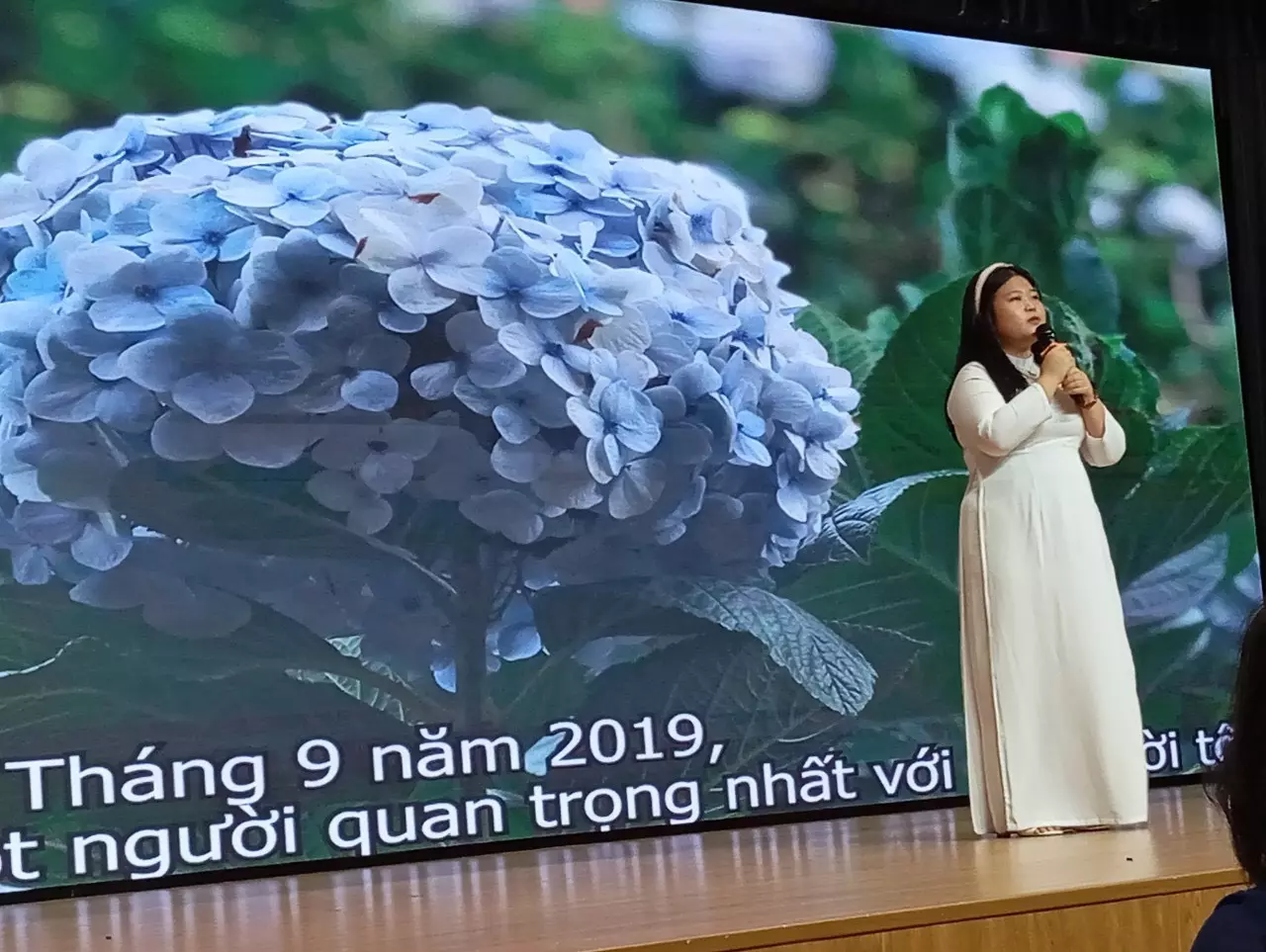 DHV - Trường Đại Học Hùng Vương TPHCM