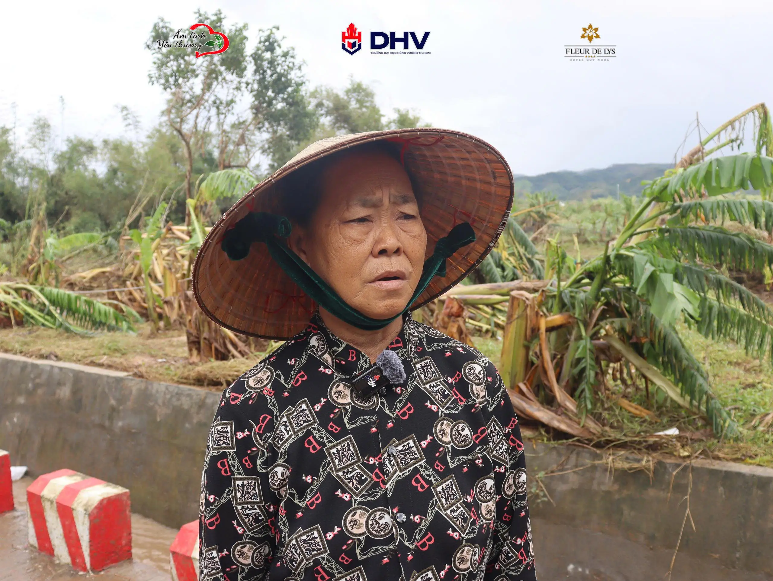 DHV - Trường Đại Học Hùng Vương TPHCM