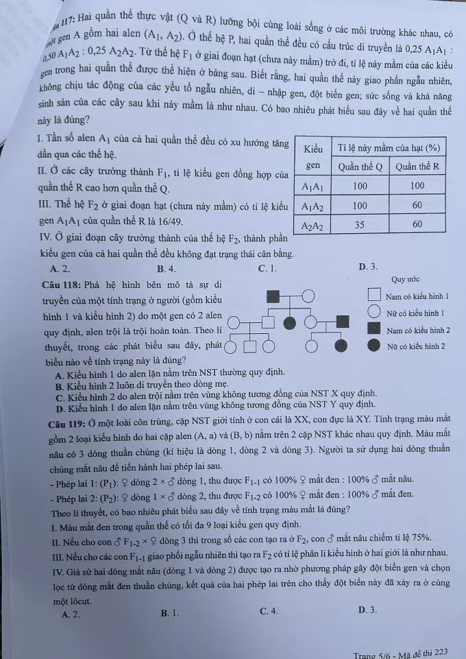 DHV - Trường Đại Học Hùng Vương TPHCM